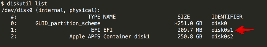 macOS diskutil list EFI partition